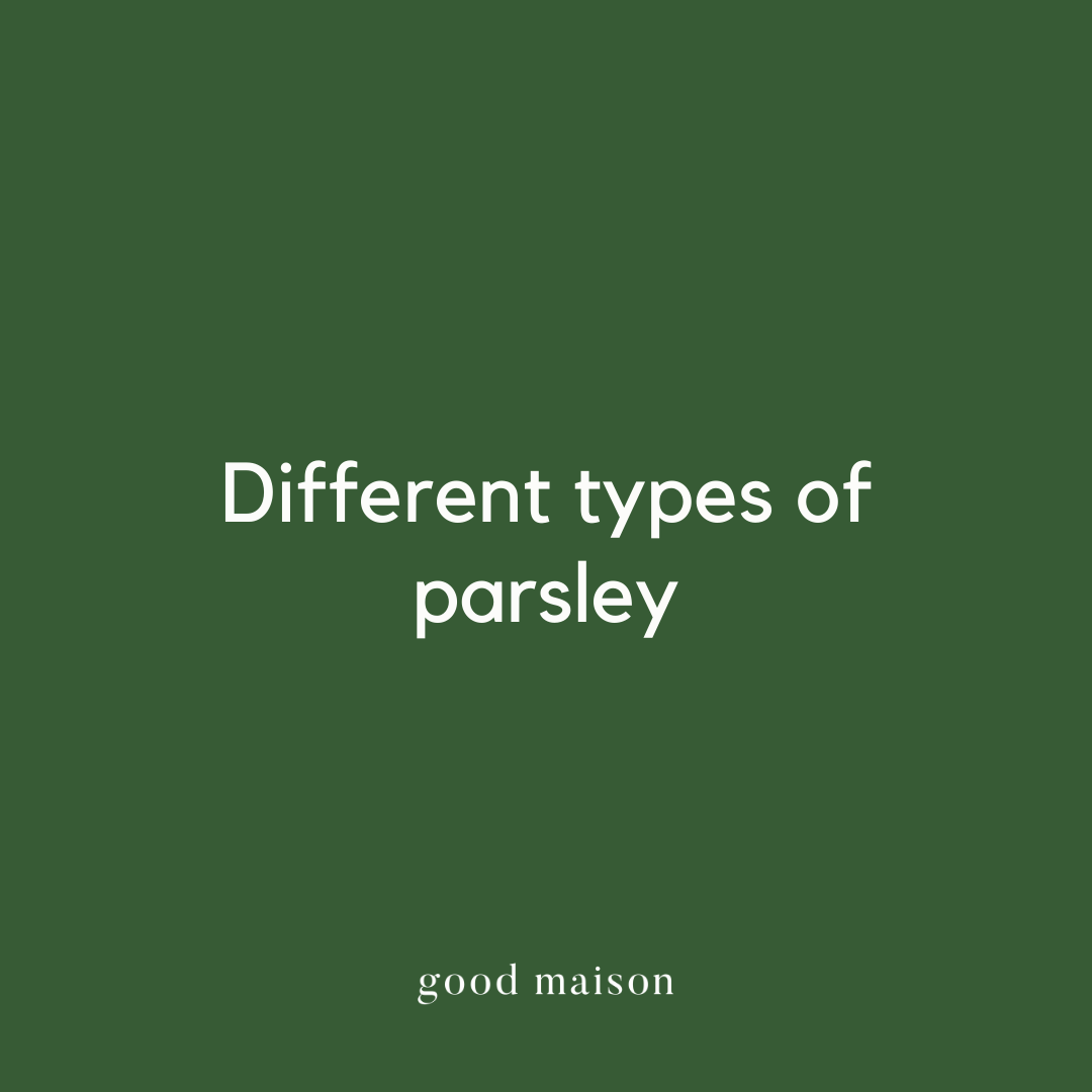 Different Types of Parsley