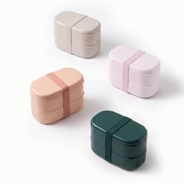 The Microwavable Lunch Bento